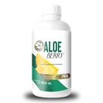 ALOE BERRY PIÑA 500 ML