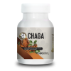 CHAGA
