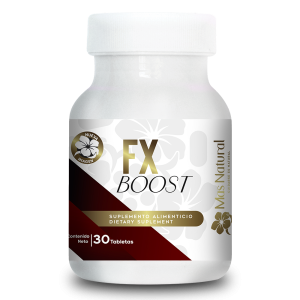 FX BOOST