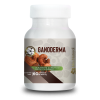 GANODERMA
