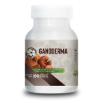 GANODERMA