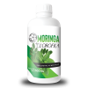 500 ML CLOROFILA CON MORINGA